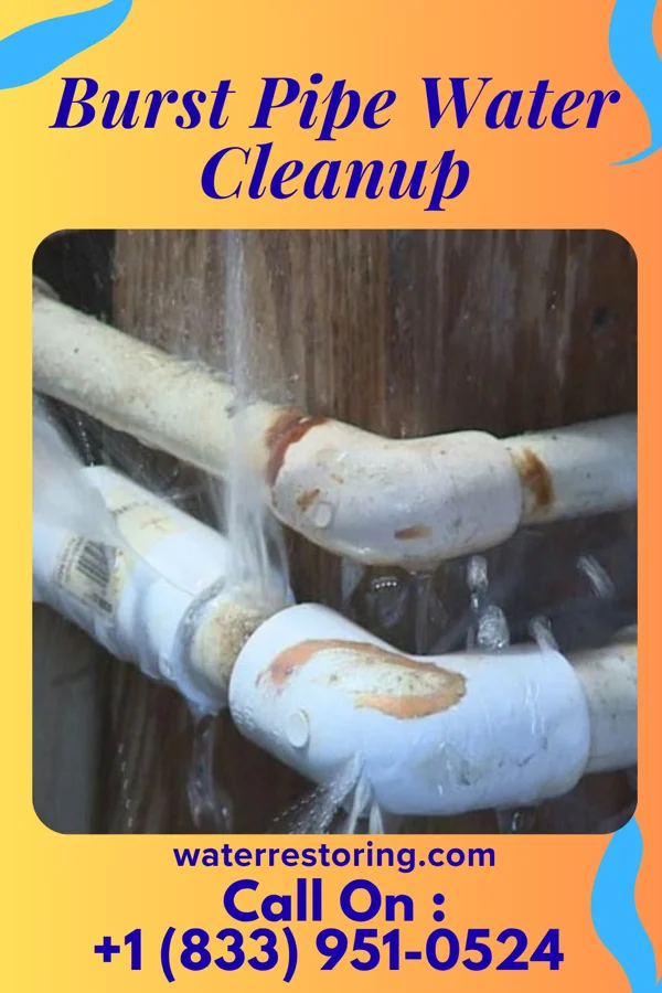 Burst Pipe Water Cleanup in Sleepy Hollow, IL