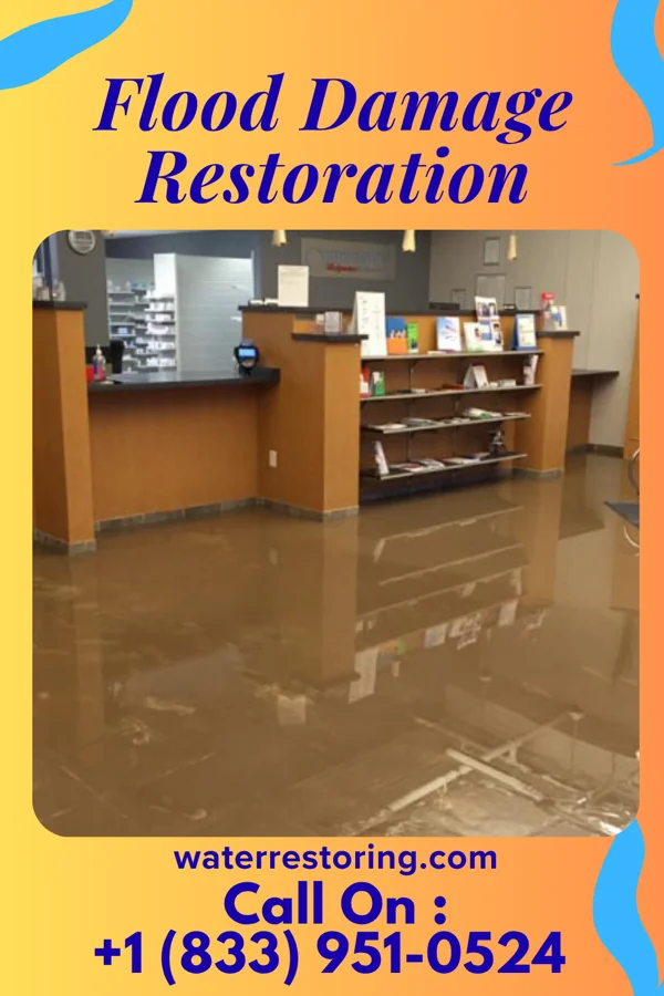 Flood Damage Restoration in Sleepy Hollow, IL